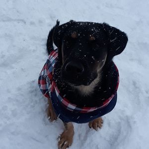 Meet your Posher, Alexander